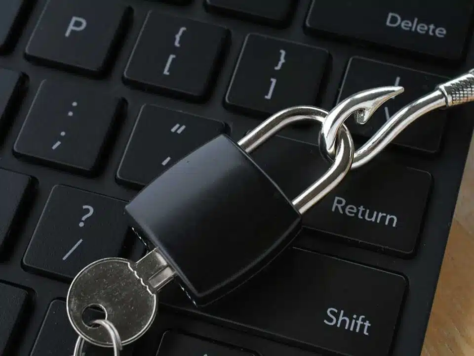 Capacitar a los colaboradores para identificar correos maliciosos es clave para evitar el phishing en tu empresa.